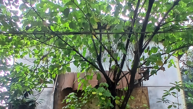 Gudang Workshop Jl Raya Serang Dijual.cepat Cash Only