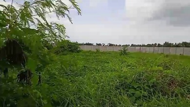 Tanah Pinggir Jl Sudah Pagar Dijual Cepat Di Mauk Tangerang