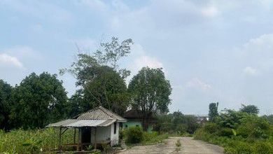 Kavling dengan Nilai Murah di Cibatu Purwakarta