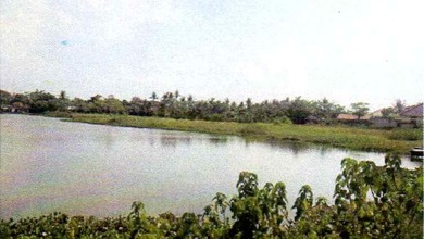 Tanah 2 Ha Dijual Cepatcash Only di Rajeg Tangerang