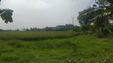 Tanah Dijual Murah Di Jl Raya Kronjo Desa Pasilian Kab. Tangerang