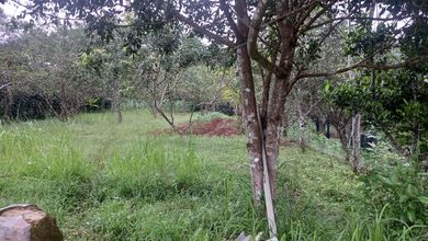 Tanah dijual di bojong genteng kabupaten sukabumi jawa barat