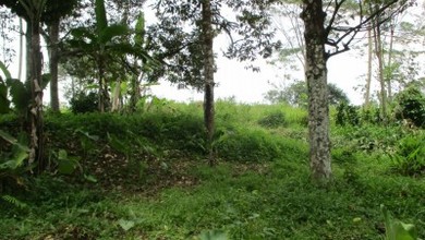 Tanah Dijual Di Balekambang Kec. Nagrak Kabupten Sukabumi