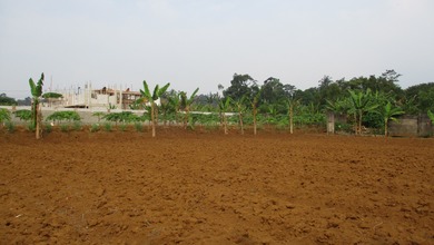 Tanah Dijual Di Jl Rancamaya Bojongkerta Bogor Selatan