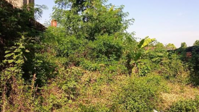 Jual Tanah Lokasi Komplek Gunung Putri View Danau dan Taman