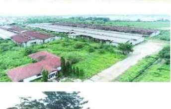 1 Bidang Tanah Beserta Bangunan Di Klari Karawang Jawa Barat Luas 9 Hektar