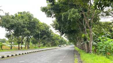 Tanah Siap Bangun Dijln Deandles Desa Geparang Kec. Purwodadi Kab Purworejo Jateng