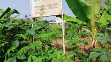 1 Bidang Tanah Siap Bangun Di Pamulang Kota Tangerang Banten