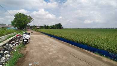 Sawah Murah Pasir Malang Lemah Subur Tempuran Kabupaten Karawang