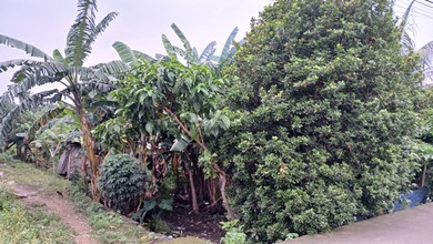 Tanah Murah Di Cikupa Jl Raya Otonom Kabupaten Tangerang