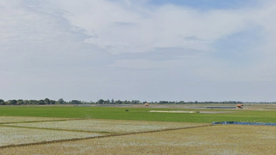 Tanah Sawah di Jual Murah Pedes Puspasari Kabupaten Karawang