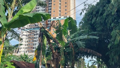 Tanah Murah Dekat Bsd Serpong Jl Raya Ciater Tangerang Selatan