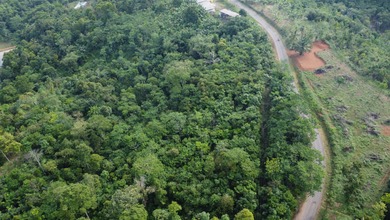 Tanah Murah 2 Ha di Gunung Kencana, Lebak, Banten