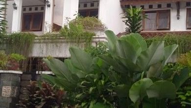 Rumah Asri 2 Lt Dijual Di Jalan SrmpurKaler Bogor Tengah Bogor