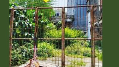 Tanah Dijual Jalan Kebon Jeruk Di Tamansari 