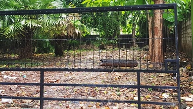 Lelang Tanah Kosong Shm Jalan Pulo Indah Petukangan Selatan 