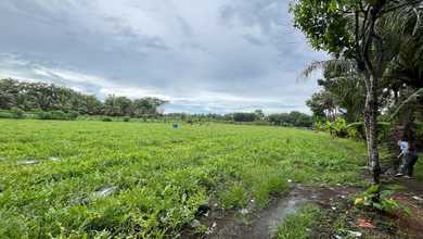 Purworejo - Tanah Pinggir Jalan Cocok untuk Usaha