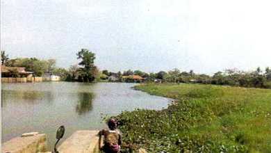 Dijual Lelang Tanah. Desa/Kelurahan Tanjakan Mekar, Kecamatan Rajeg, Kabupaten Tangerang, Provinsi Banten