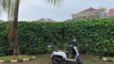 1 Bidang Tanah 2582m² Proses Lelang Letak Strategis 