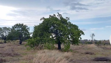 Tanah Karang Asem Luas 2h Bali Lelang Strategis