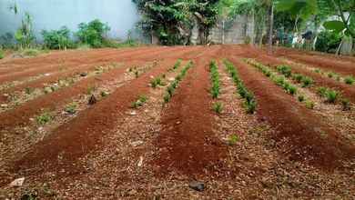 Kavling harga miring lt 360mtr investasi terbaik jarang ada 