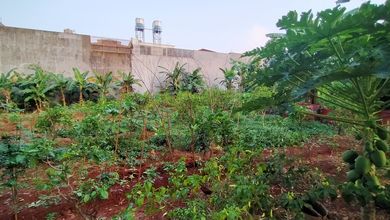 Kavling intercon di obral murah lt 360mtr siap bangun intercon jakarta barat 