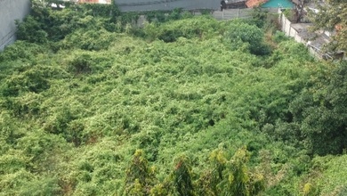 Tanah Murah Patra Kuning Lt 1908mtr Jarang Ada Patra Kuning Jakarta Selatan 