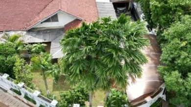 Rumah Hoek Murah Rawa Barat Kebayoran Baru Murah Jarang Ada Shm 