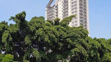 Gedung Tower Di Jual Murah 220unit Menteng Dalam Jakarta 