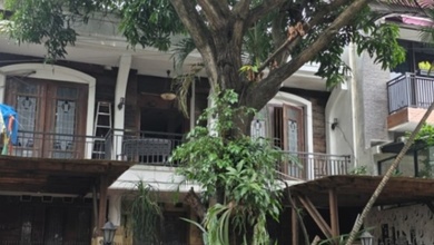 Rumah Harga Miring Pinang Perak Dkat Pondok Indah Jarang Ada 