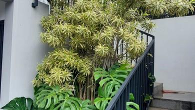 Jual Rumah Mewah LT 200 m2 Area Kemang, Jakarta Selatan