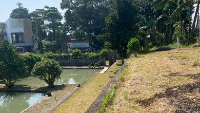 Tanah Cantik Bonus Empang Dan Rumah Di Cigombong Bogor 2006m2 Shm