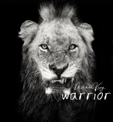 Muhamad Rizki | Agen Properti Better Property